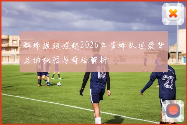 群蜂振翅崛起2026年黄蜂队逆袭背后的秘密与奇迹解析
