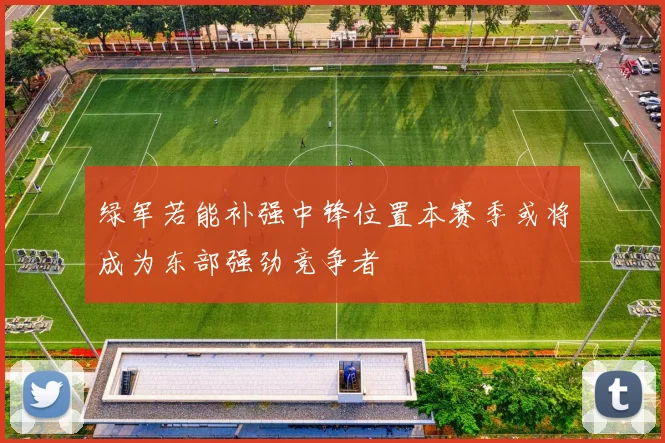 绿军若能补强中锋位置本赛季或将成为东部强劲竞争者