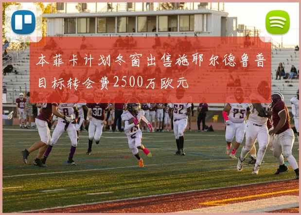 本菲卡计划冬窗出售施耶尔德鲁普目标转会费2500万欧元